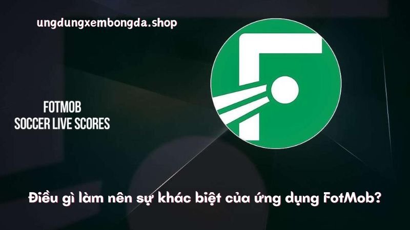 Điều gì làm nên sự khác biệt của ứng dụng FotMob?