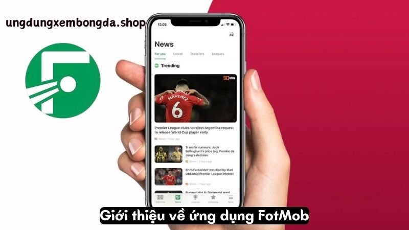 Giới thiệu về ứng dụng FotMob