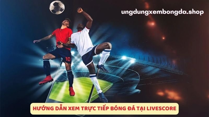 Hướng dẫn cách xem trực tiếp bóng đá tại LiveScore