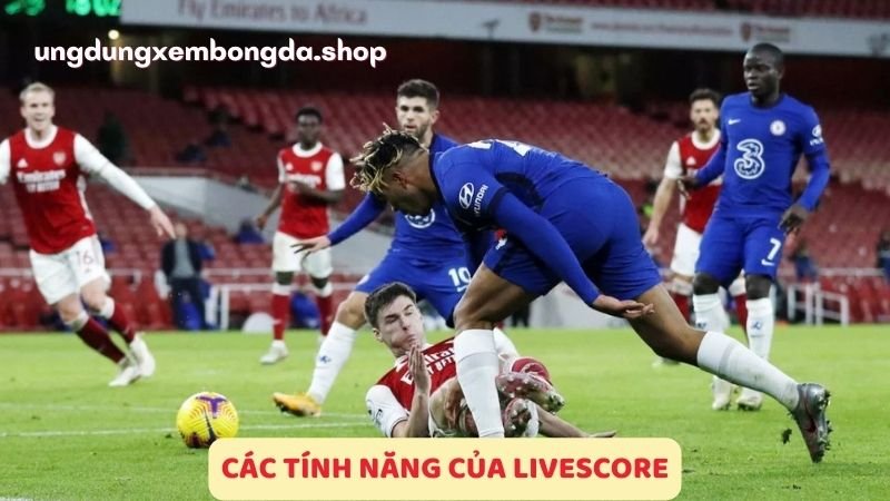 Các tính năng của LiveScore